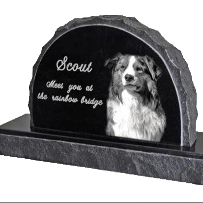 scout-transp